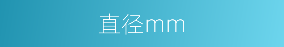 直径mm的同义词