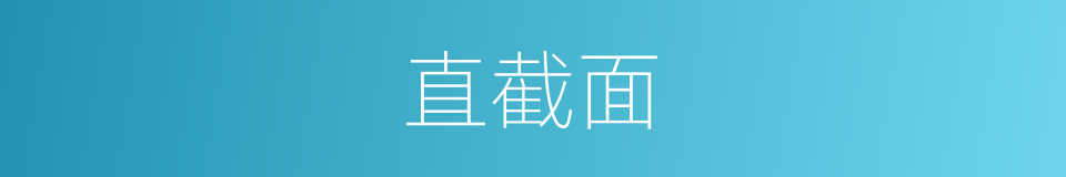 直截面的同义词