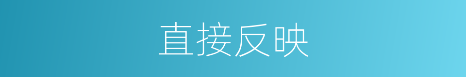 直接反映的同义词