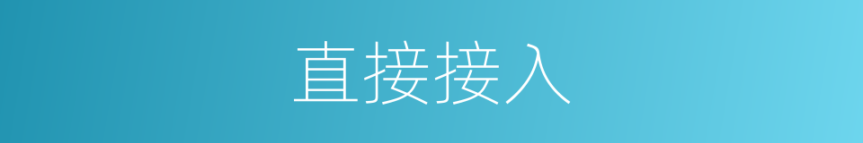 直接接入的同义词
