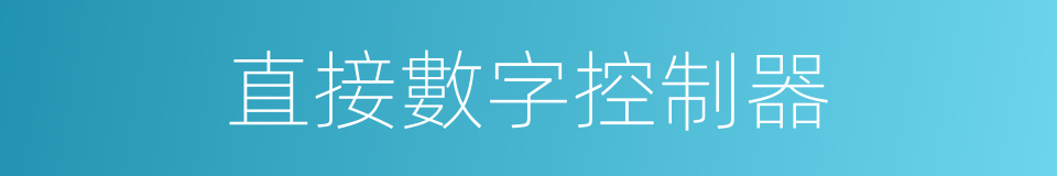 直接數字控制器的同義詞