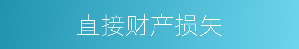 直接财产损失的同义词