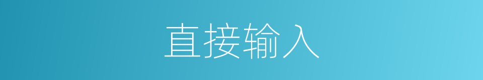 直接输入的同义词