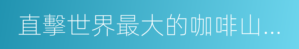 直擊世界最大的咖啡山發掘現場的同義詞
