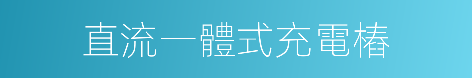 直流一體式充電樁的同義詞