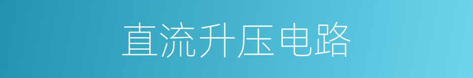 直流升压电路的同义词