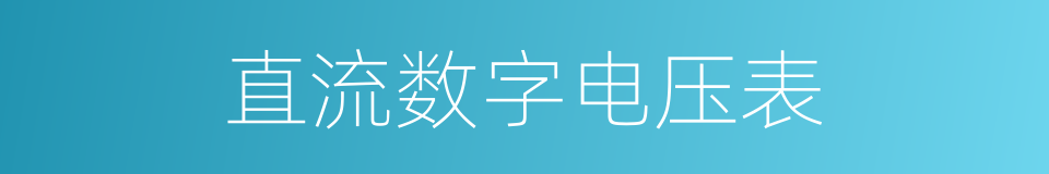 直流数字电压表的同义词