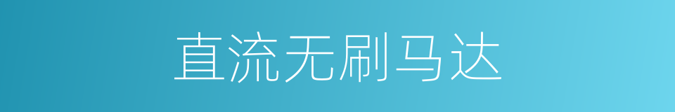直流无刷马达的同义词