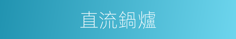 直流鍋爐的意思