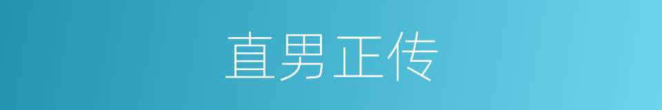 直男正传的同义词