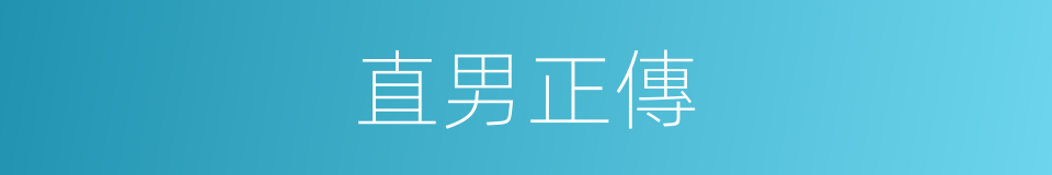 直男正傳的同義詞