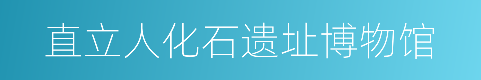 直立人化石遗址博物馆的同义词