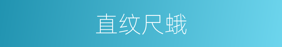 直纹尺蛾的同义词