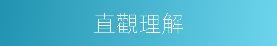 直觀理解的意思