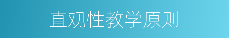 直观性教学原则的同义词