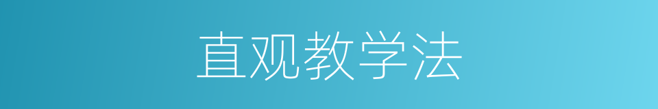 直观教学法的同义词