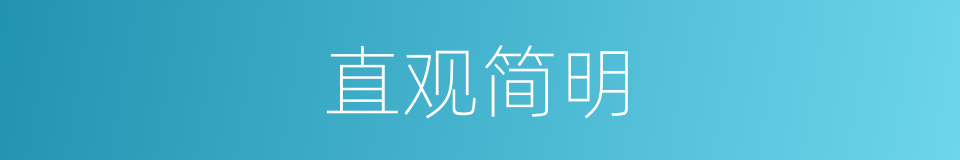 直观简明的同义词