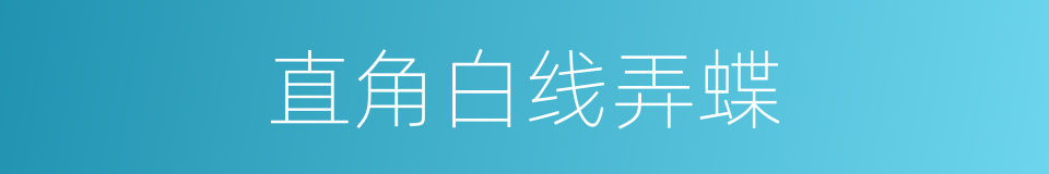 直角白线弄蝶的同义词