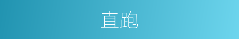 直跑的同义词