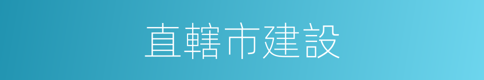 直轄市建設的同義詞