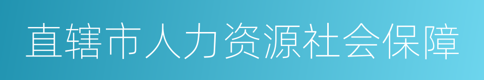 直辖市人力资源社会保障的同义词