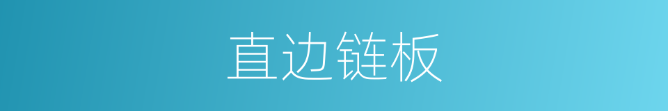 直边链板的同义词