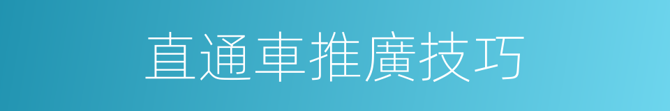 直通車推廣技巧的同義詞