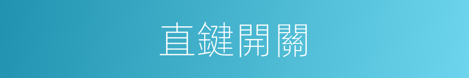 直鍵開關的同義詞