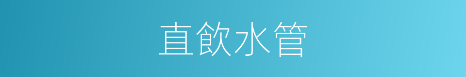 直飲水管的同義詞