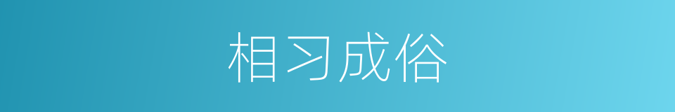相习成俗的意思