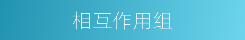 相互作用组的同义词