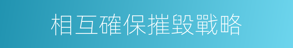 相互確保摧毀戰略的同義詞