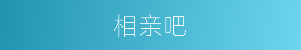 相亲吧的意思