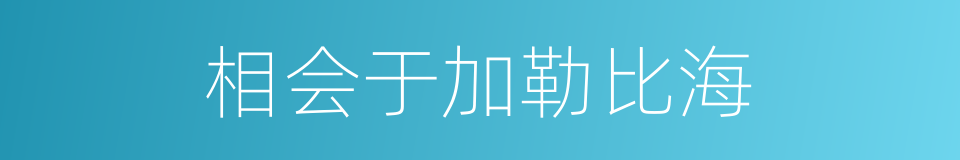 相会于加勒比海的同义词