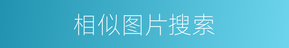 相似图片搜索的同义词