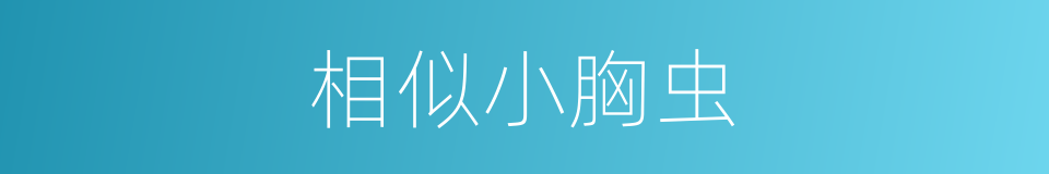相似小胸虫的同义词