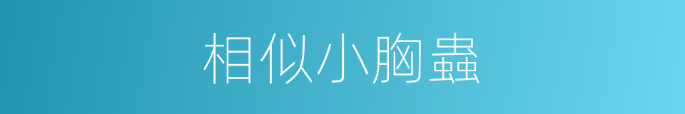 相似小胸蟲的同義詞