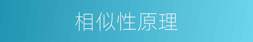 相似性原理的同义词