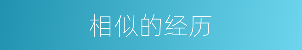 相似的经历的同义词