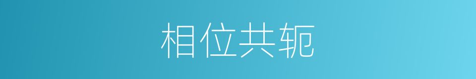 相位共轭的意思