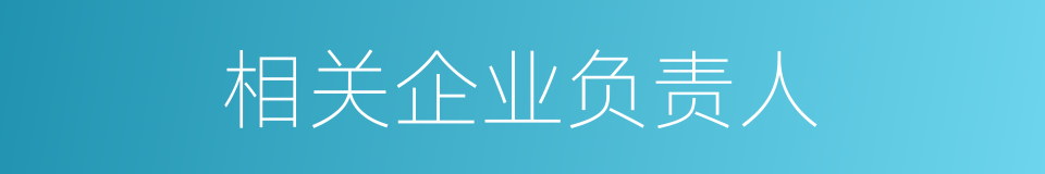 相关企业负责人的同义词