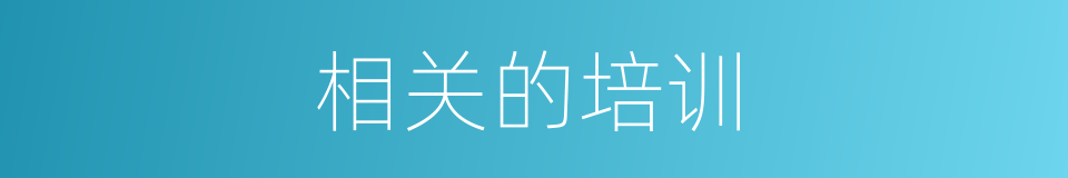 相关的培训的同义词