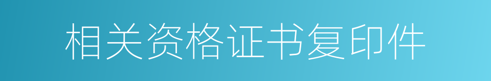 相关资格证书复印件的同义词