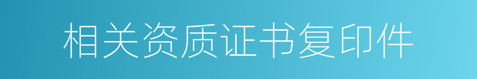 相关资质证书复印件的同义词