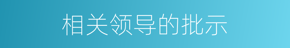 相关领导的批示的同义词