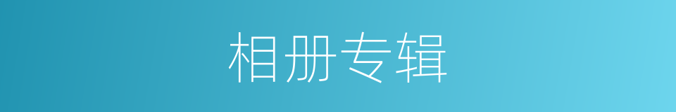 相册专辑的同义词