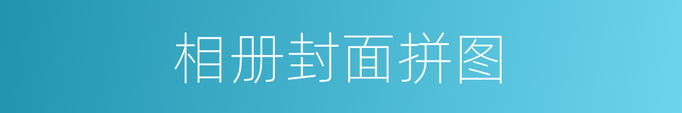 相册封面拼图的同义词