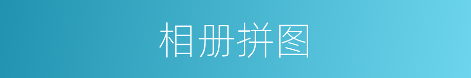 相册拼图的同义词
