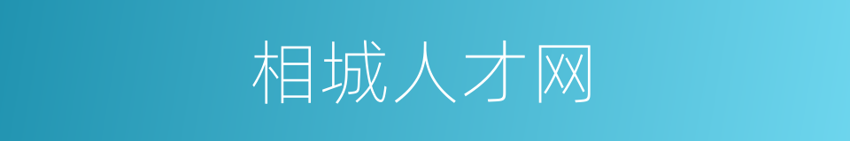 相城人才网的同义词