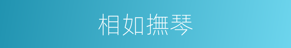 相如撫琴的同義詞